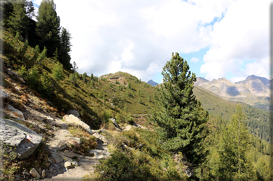 foto Da Passo 5 Croci alla Forcella Magna